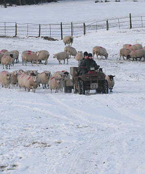 images/about-us/IMG_9889-farm.jpg