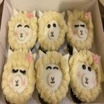 images/alpaca/alpaca-parties/Alpaca_cupcakes.jpeg